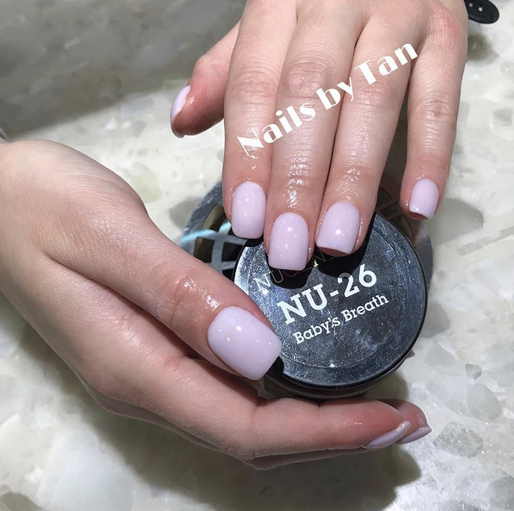 DP - NU-26 Baby's Breath